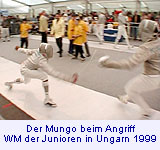 Der Mungo beim Angriff